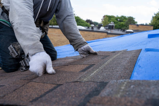 Best Roof Repair Specialists  in Lyons, KS